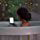 nuevo kindle paperwhite bañera